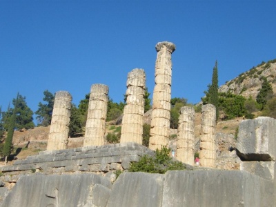 14-2-zak-delfi_22_400