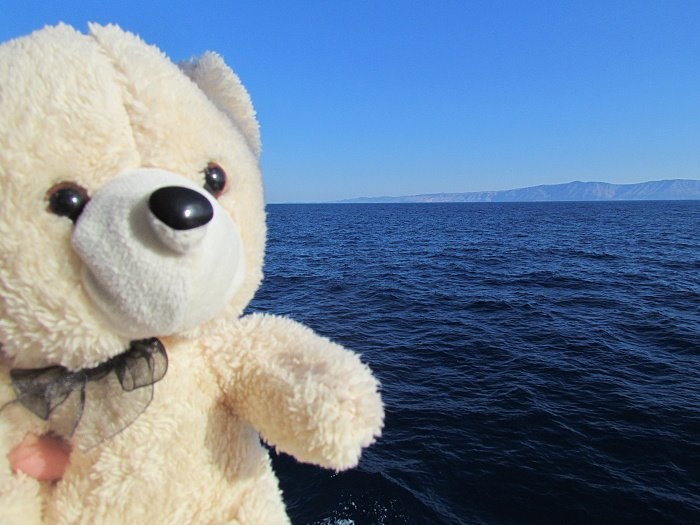 293782_2265733819201_277248284_n_700