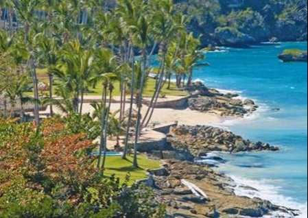 cfb9902d-0b12-cc80-8d6c613b412fc9aa_450