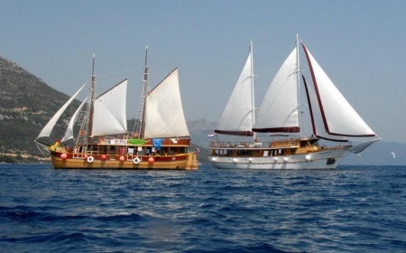 d5c7d29704_79113500_o2_450