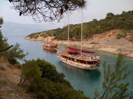 fa60cacfaa_79504826_o2_450