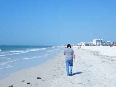 florida_2008_-_tampa_bay_12_400