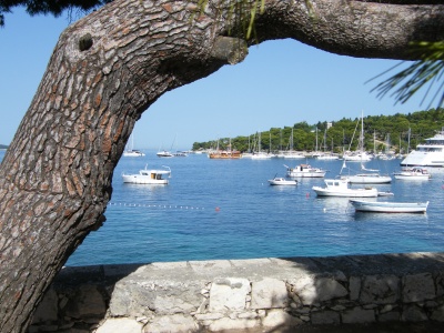 silva_2009__4._a_5_147_400