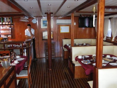 silva_3_2010_225_400